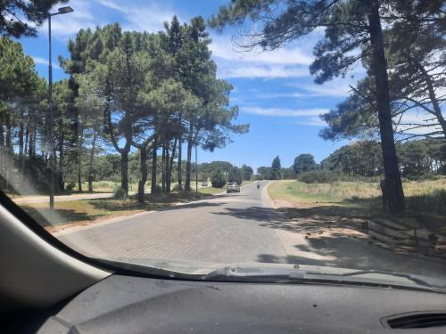 a view from a car windshield of a road with trees at SILVIA in Ostende