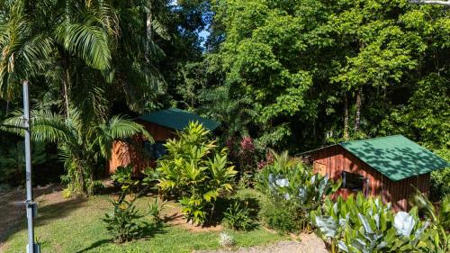 a garden with a smallshed in the middle of trees at Citronela Lodge Corcovado in Drake