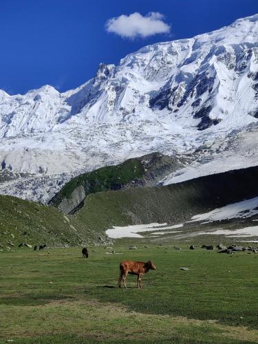 Un paisaje natural cerca del camping