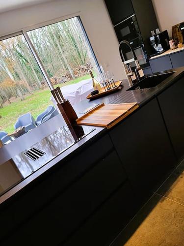 a kitchen with a counter with a sink and a window at NALAN Godvicien, Spa, piscine chauffée, forêt, 14 pers in Gouvieux
