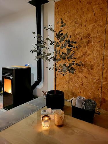 a potted tree sitting on a table with a candle at NALAN Godvicien, Spa, piscine chauffée, forêt, 14 pers in Gouvieux