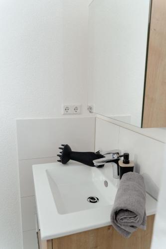 a bathroom sink with a hair dryer and a mirror at GrenzApartments in Bietingen