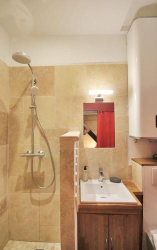 une salle de bain avec un lavabo et une douche dans l'établissement Studio cosy cœur Villeneuve-lez-Avignon, à Villeneuve-lès-Avignon