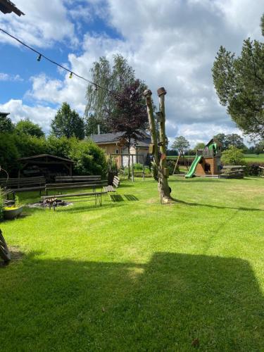 a park with a tree in the middle of a field at Hotel Olbernhau mit Sauna - Kleines Landhotel zur Ofenschenke in Olbernhau
