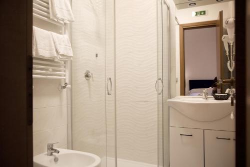 a bathroom with a shower and a sink and a toilet at Hotel Silva in Rome