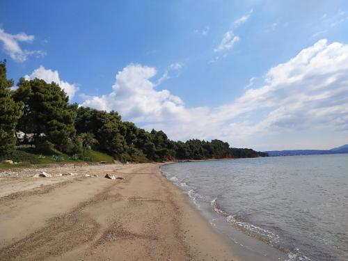 a sandy beach with trees on the shore at Tradiotional house in Metamorfosi