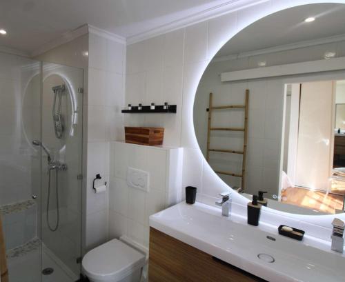 une salle de bain avec un lavabo, des toilettes et un miroir dans l'établissement MARCOGNEY - Golfe de St-Tropez - Aux Marines de Cogolin - Appartement climatisé vue sur le port, à Cogolin