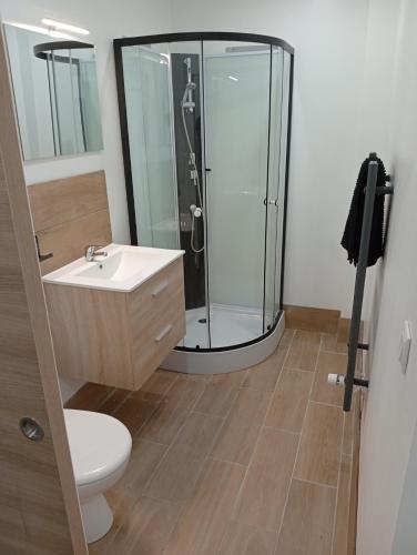 une salle de bain avec une douche, un lavabo et des toilettes dans l'établissement Best Price #5 LA DISTILLERIE X5 people, à Lods