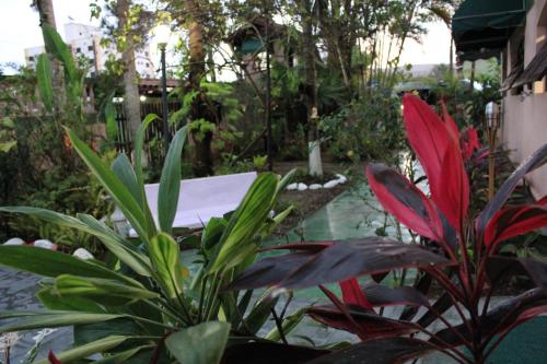a garden with a table and some plants at Farol das Gaivotas Pousada e Residence in Caraguatatuba
