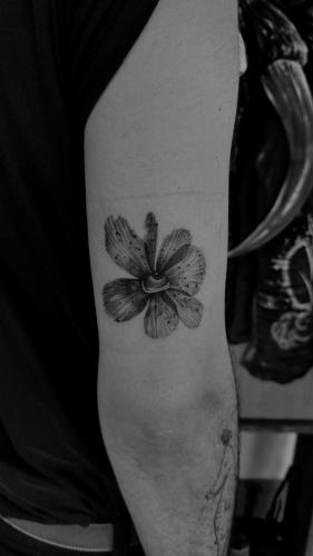 ハルディンにあるKintin Tattoo Hostelのギャラリーの写真