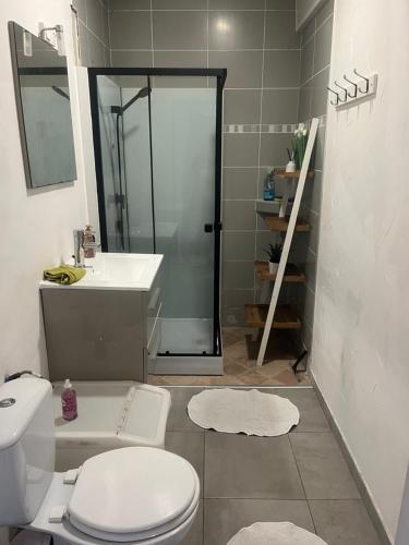 Ένα μπάνιο στο Petite maison indépendante