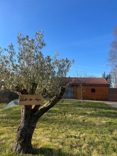 Zahrada ubytování Chalet des Anges