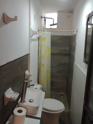 een badkamer met toilet, wastafel en douche bij Departamento Elefante in Guadalajara