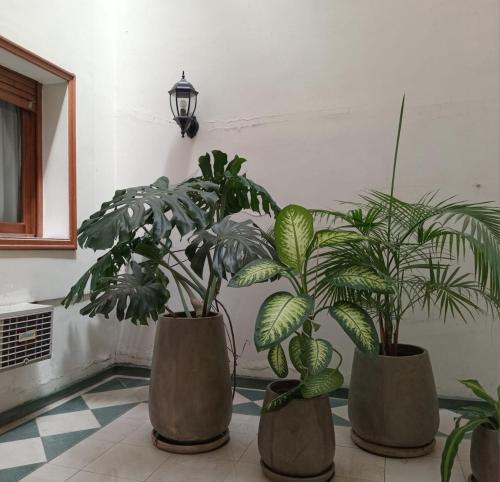 three plants in vases sitting on a tile floor at Astoria Hotel in Buenos Aires