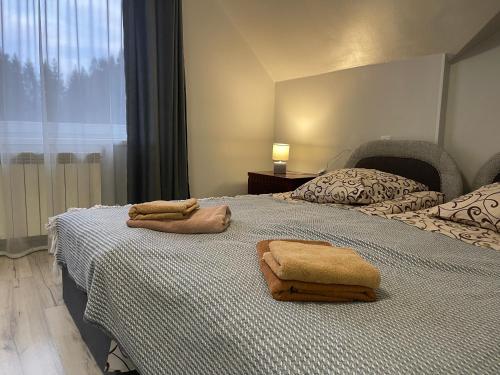 Ein Bett oder Betten in einem Zimmer der Unterkunft Сідус
