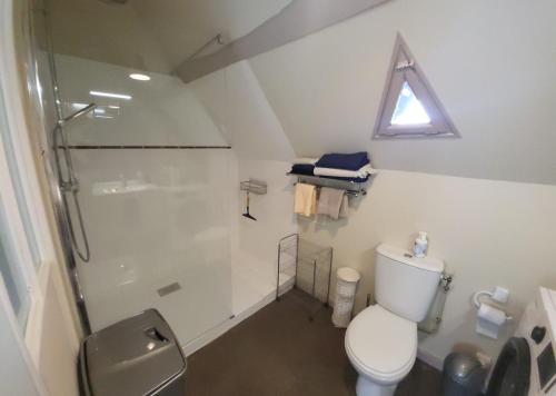 une salle de bain avec douche et toilettes et une fenêtre dans l'établissement Villa de charme près de Sarlat Périgord, à Anglars-Nozac