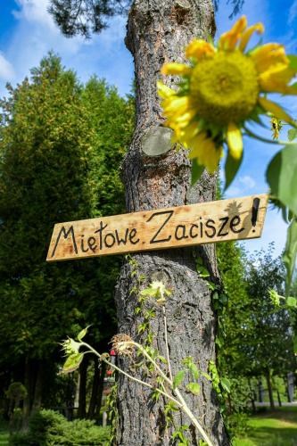 Κήπος έξω από το Miętowe Zacisze Zator