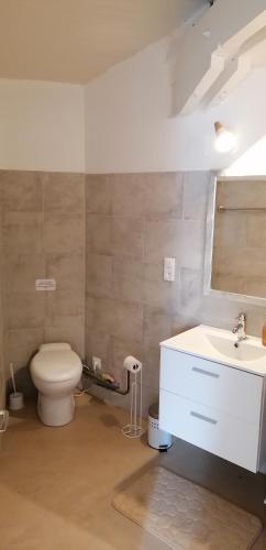 a bathroom with a toilet and a sink at maison de campagne in Bazillac
