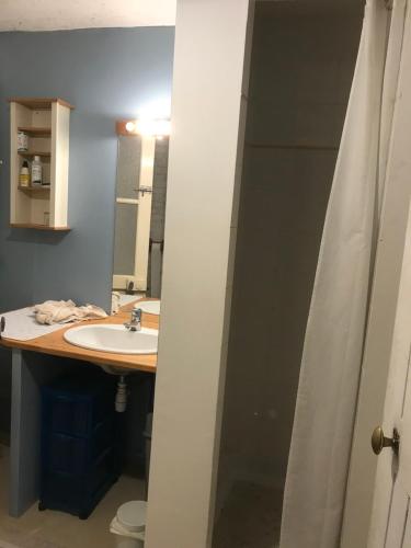 une salle de bain avec un lavabo et une douche dans l'établissement Chambre pour 2 à Fontenay, à Fontenay-sous-Bois