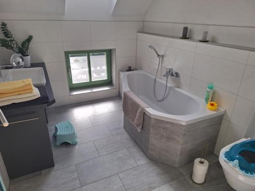 a bathroom with a bath tub and a toilet at Zillestuben Altenburg in Altenburg