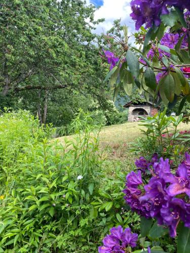 Photo de la galerie de l'établissement Chalet Woody, à Saint-Gervais-les-Bains