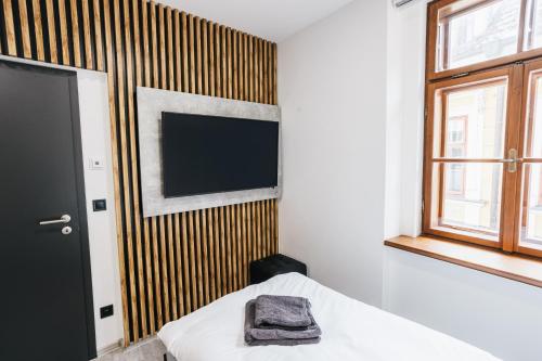 TV a/nebo společenská místnost v ubytování Apartmány U Doskočilů