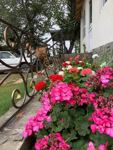 a bunch of pink and red flowers in a garden at Kordon guest house in Krasnyy Most