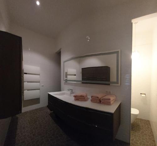 La salle de bains est pourvue d'une baignoire et d'un lavabo avec un miroir. dans l'établissement Bel appartement 140m2, terrasse au calme 20m2, à Reims