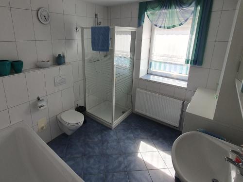 a bathroom with a shower and a toilet and a sink at Elisa Ferienwohnung in Wadern
