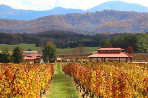 a vineyard in the mountains with a bunch of vines at Time to Wine Down - Family Home in Afton