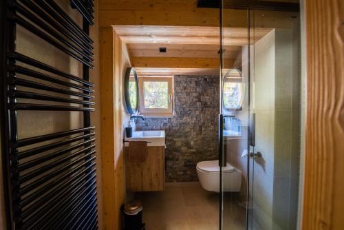 a bathroom with a toilet and a glass shower at Chalet Myriam in Grächen