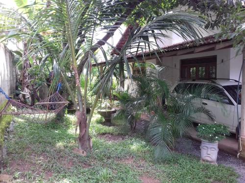 a garden with palm trees in front of a house at The villa sunshine kadawala in Dunagaha
