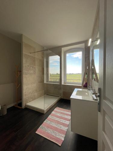 La salle de bains est pourvue d'une douche, d'un lavabo et de 2 fenêtres. dans l'établissement Mas Tareau la Syrah, à Beaucaire