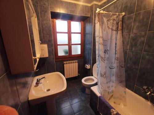 a bathroom with a sink and a toilet and a shower curtain at GURE TXOKO Casa Rural in Odériz