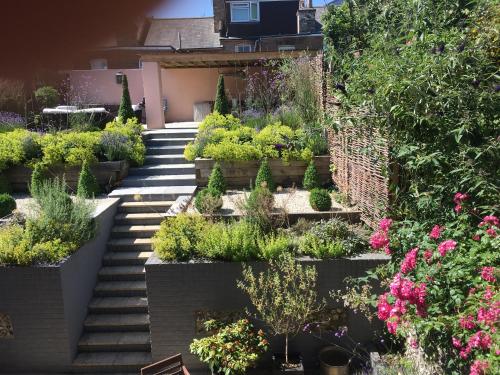 a garden with plants and flowers on a building at Saskia's Rooms in Winchester