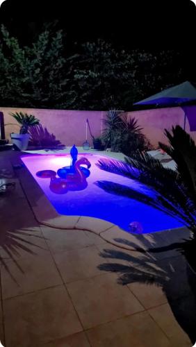 Swimmingpoolen hos eller tæt på love rooum