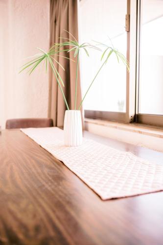 a plant sitting on a table next to a window at LaPlayaSuites 1st in Periyiálion