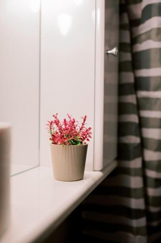 a potted plant sitting on a window sill at LaPlayaSuites 1st in Periyiálion