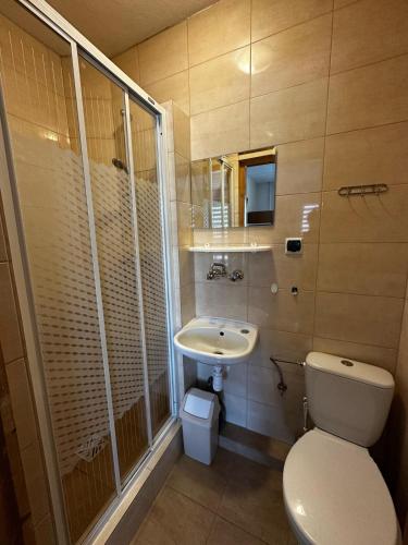 a bathroom with a toilet and a sink at Noclegi "Na Szczyrboku" Dom II in Korbielów