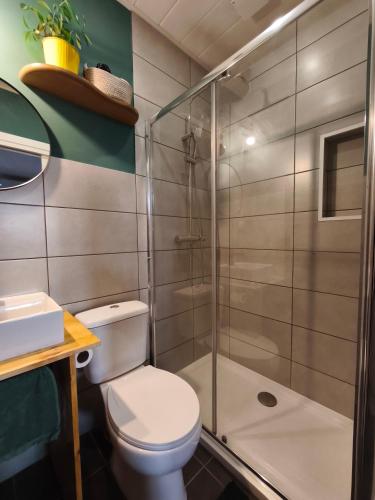 a bathroom with a toilet and a shower at Gaia Style Room in a Shared Apartment in Vila Nova de Gaia