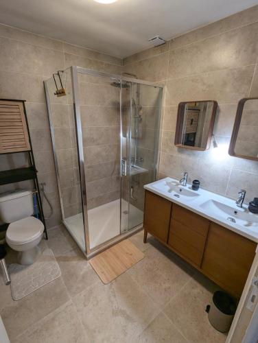 une salle de bain avec une douche, un lavabo et des toilettes dans l'établissement Maison lumineuse avec Jardin, à Montpellier