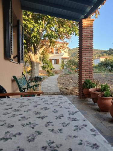 a patio with a rug and a bench and a tree at Vassilis Studios in Anaxos