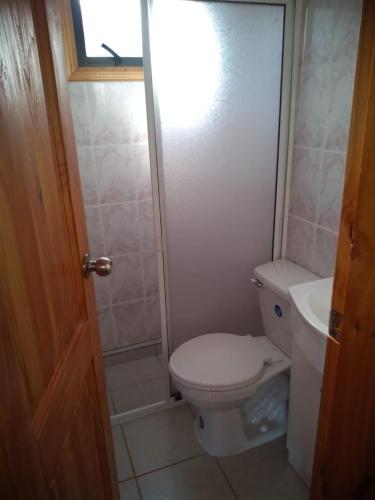 a small bathroom with a toilet and a sink at Cabaña Tres Espinos Alto in Valdivia