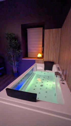 Gambar di galeri bagi Le Cocon - Love & Spa di Cébazat