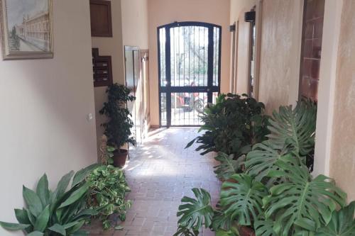 Taman di luar Casa La Ribera 5