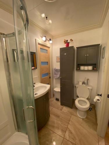 a bathroom with a shower and a toilet and a sink at Paradise Eastern Township cottage in Cowansville