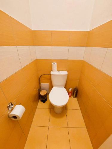 a bathroom with a toilet and a roll of toilet paper at Apartment ČSA #1 in the Historic Center Hradec Králové in Hradec Králové