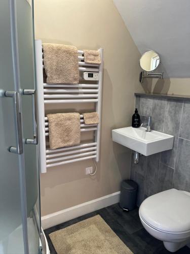 une salle de bain avec toilettes et lavabo dans l'établissement La Maison Normande, à Saint-Cirgues-de-Jordanne