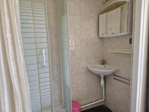 une petite salle de bain avec un lavabo et une douche dans l'établissement Le Cocon de Cécile - Close to Paris-La Défense, à Bezons