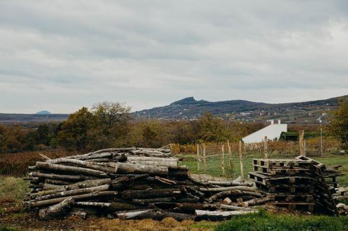 a pile of logs in a field with mountains in the background at TÉGED VÁRTALaK in Dörgicse